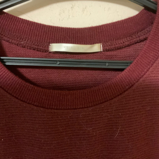 レトロガール　袖切り替えスウェット　サイズフリー の画像