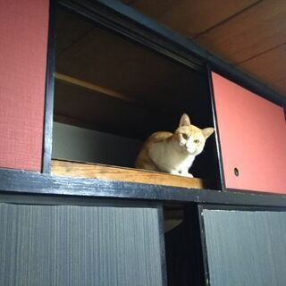 ますます大きくなりました(^^)