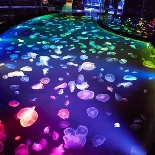★10/31すみだ水族館