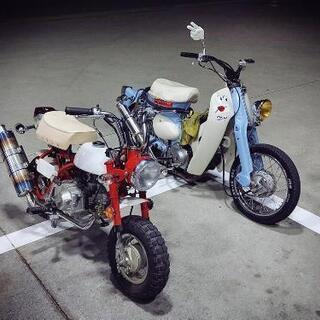 モンキー風 (現在バラバラ)