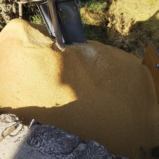 もみ殻差し上げます。