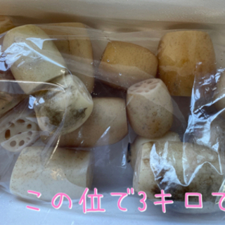 れんこん　 産直　ランダムサイズ　500gからok