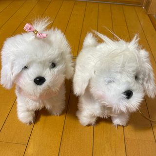 お散歩(取り引き中)