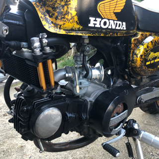 モンキーの画像