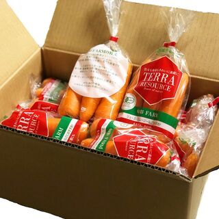 【急募】オーガニック人参と赤玉ねぎの出荷スタッフの画像