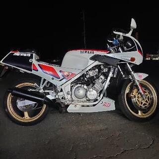 FZR250の中古が安い！激安で譲ります・無料であげます(5ページ目