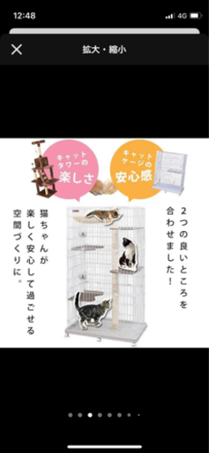 キャットタワー　ケージ　今週まで