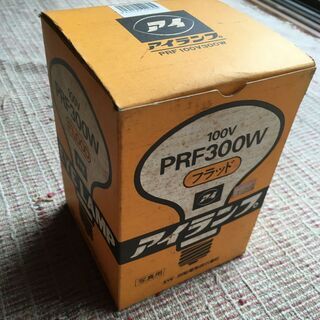 電球（写真撮影用）３００Ｗ