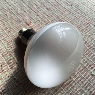 電球（写真撮影用）３００Ｗの画像