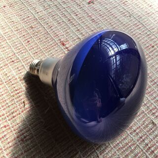 電球（写真撮影用）５００Ｗの画像