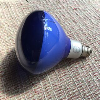 電球（写真撮影用）５００Ｗの画像