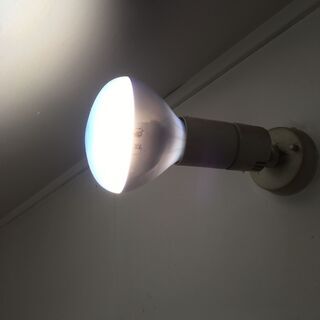 電球（写真撮影用）５００Ｗの画像