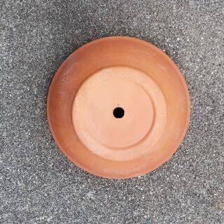 植木鉢  テラコッタ  約6号の画像