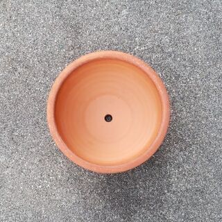 植木鉢  テラコッタ  約6号の画像