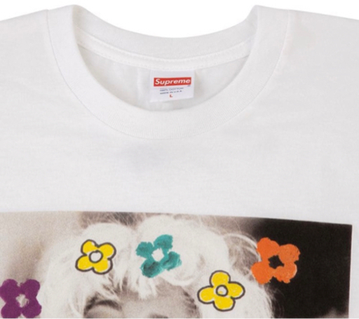 supreme シュプリーム　Tシャツ　ナオミ　新品　L