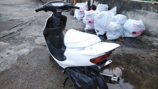 ⭐ホンダライブディオZXタイプ　AF35　白　極悪爆音マフラー　エナメルシート
