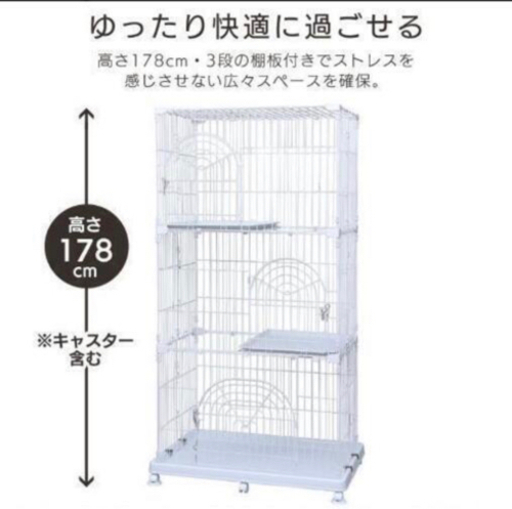 ケージ　猫