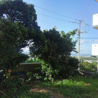 クロキ　黒木  10000～応談可の画像