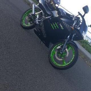 TZR50の画像