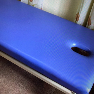 整体用ベットの画像