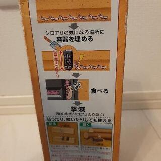 シロアリの巣撃滅の画像