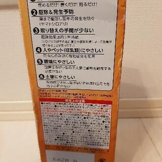 シロアリの巣撃滅の画像