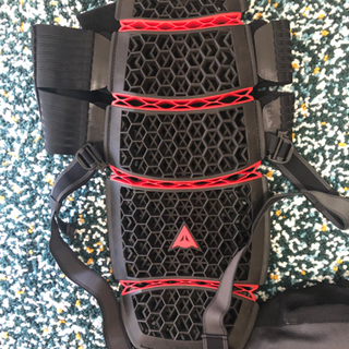 DAINESE PRO-ARMOR BACK SHORT プロテクター バイク