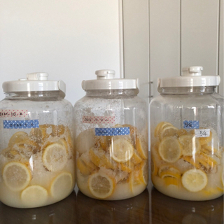 🍋手作り！ミネラル醗酵ドリンク教室🍋(キムチ・味噌教室)の画像