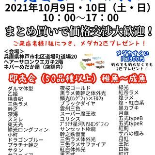 メダカすくいイベント2021年10月9日10日（土・日）恒例！即...