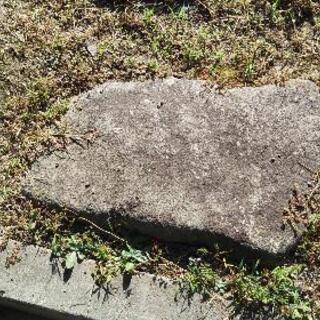 庭の敷石あげます。