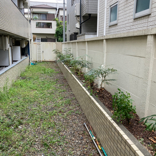 〔練馬区 杉並区在住の方〕お庭でお困りの方❗️ − 東京都