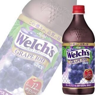 アサヒ飲料 Welch's(ウェルチ) グレープ100 800g16本