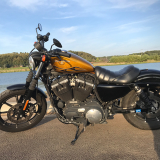 ハーレーダビッドソン　2016年式　883N アイアン　車検付きの画像