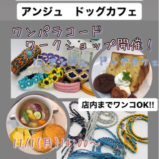 ワンパラコード　ワークショップ開催‼︎ワンちゃんも一緒にワークシ...