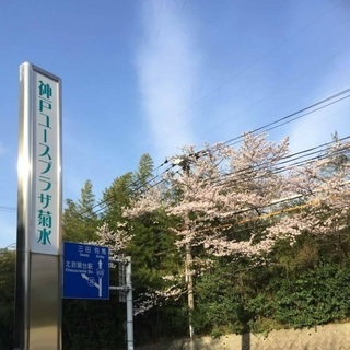 大人の習字教室です。ペン字、実用書、  文部科学省後援書写技能検定試験の指導も致します。の画像