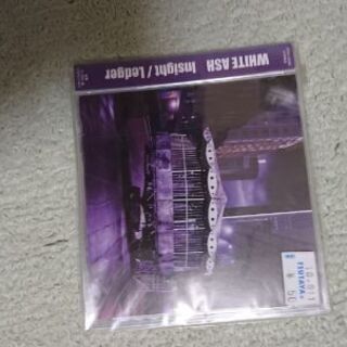 white ash / Insight/Ledger