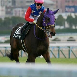 ✨競馬仲間募集✨