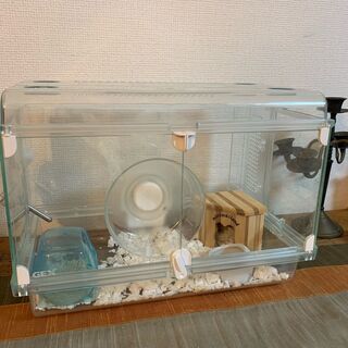 ハムスター　飼育道具　☆フルセット☆