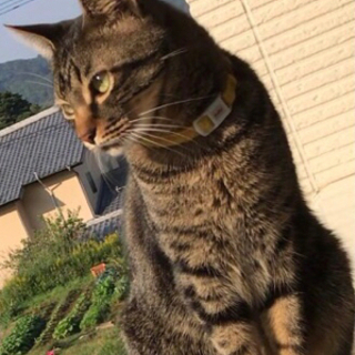 6才オス