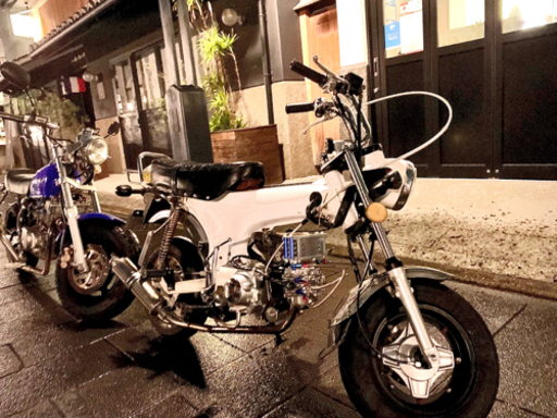 中華ダックス