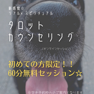 あなたの未来を変える最初の1歩！リアル×スピリチュアルの新感覚タ...