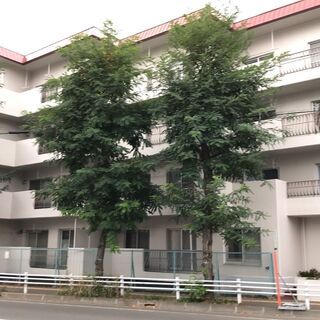 オープンハウス開催！トーカンマンション幌平橋（札幌市中央区南16条西5丁目）の画像