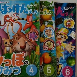 チャレンジ二年生　はてなはっけんBOOK