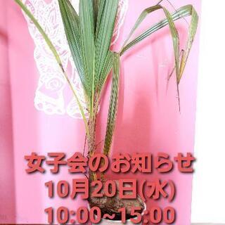 女子会のお知らせ～💕