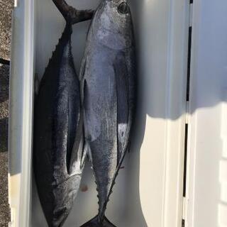釣り友募集