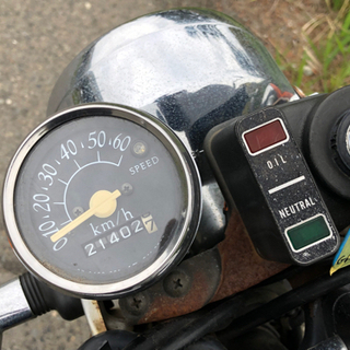 コレダスポーツ　実働　有料配送可の画像