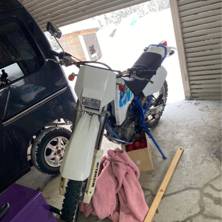 dr250s