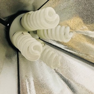 【値下げプライスダウン】写真撮影用照明+その他一式の画像