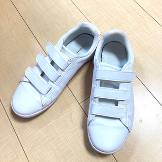 【ラコステ】白スニーカー♪size24㎝