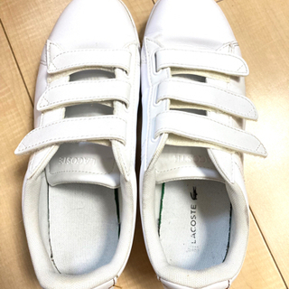 【ラコステ】白スニーカー♪size24㎝の画像